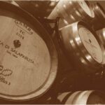 ワインの世界地図～イタリア後編～